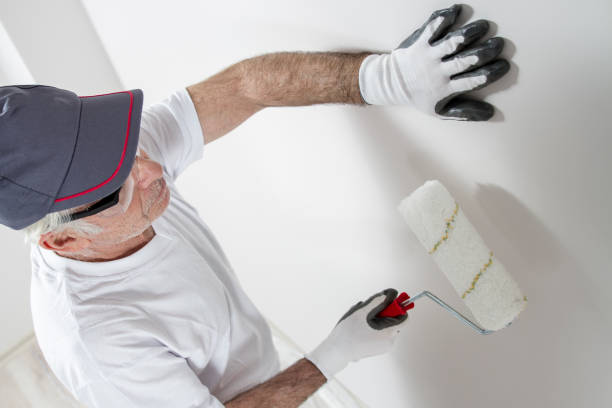 Professional Dry wall and painting in Bellwood, PA